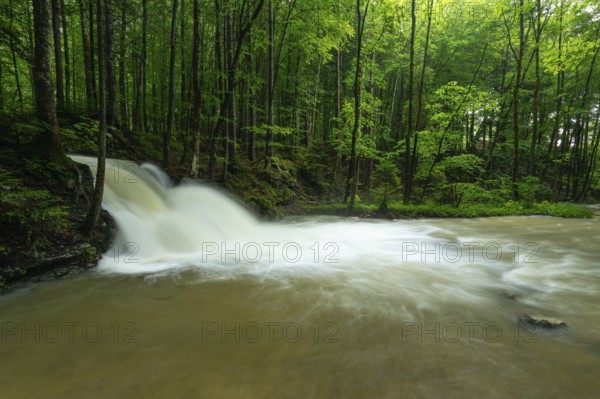Roaring Weißbach after summer rain near Inzell