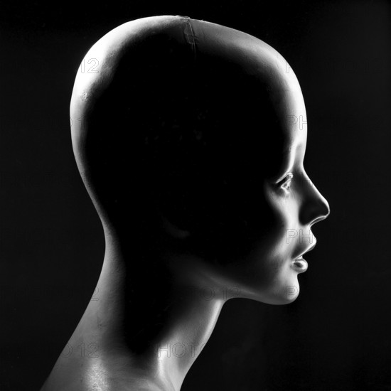 A mannequin head is highlighted in profile view with dramatic lighting that emphasizes its smooth