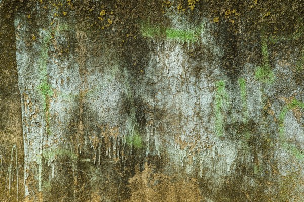 A textured wall displays layers of peeling blue and brown paint, interspersed with patches of green