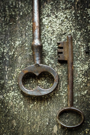 Two antique keys with intricate designs are placed on a textured wooden background. Natural light