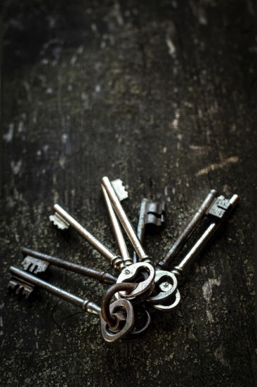 A collection of vintage keys is arranged on a rustic wooden surface. The dark background emphasizes