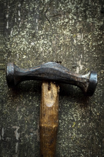 Close-up view captures the heavy hammer resting on a wooden surface, highlighting the tool's