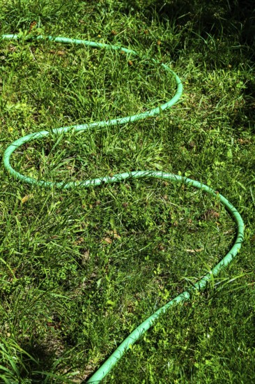 A vibrant green garden hose winds through a patch of fresh grass in a well-maintained outdoor