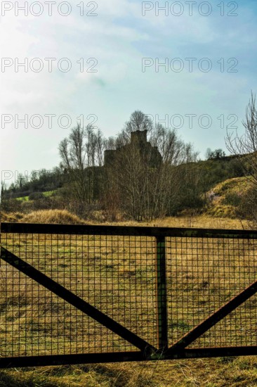 A picturesque view captures the ruins of a castle atop a hill, framed by a metal gate. The