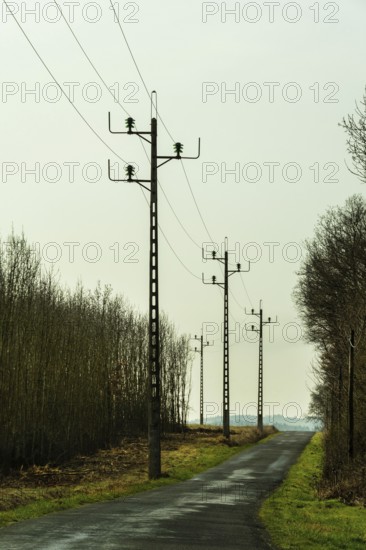 Tall power lines line a narrow, secluded road surrounded by bare trees. The overcast sky creates a