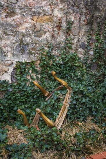 A collection of wooden chair legs lays half-buried in lush green vines, contrasting against a