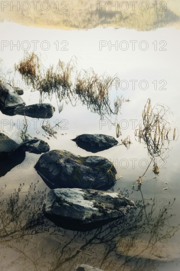 Calm waters mirror the smooth stones and delicate grass at the lakeside, creating a peaceful