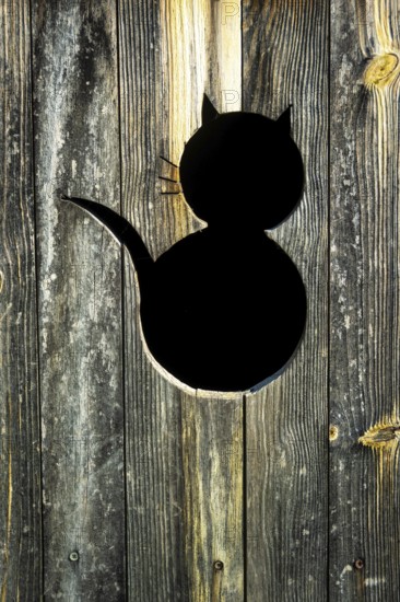 A black cat silhouette is cut into a rustic wooden panel featuring intricate grain textures. The
