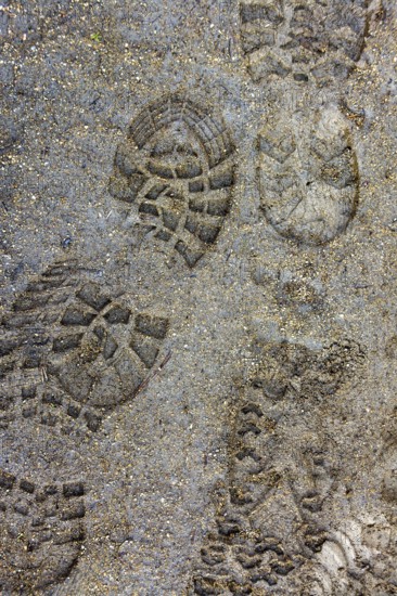 Fresh footprints are visible on a sandy trail, suggesting recent human activity in a natural