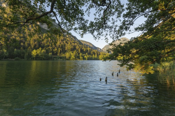 Sunrise in summer at Lake Thumsee near Bad Reichenhall