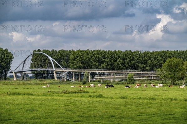 The Liniebrug, bicycle and pedestrian bridge over the Amsterdam-Rhine Canal near the village of