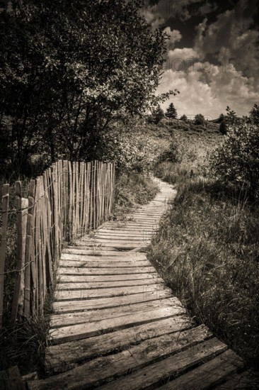 A winding wooden path leads through lush greenery, framed by a rustic wooden fence. The sky is