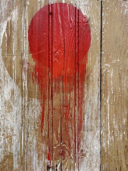 A vivid red circular splash vividly contrasts against a rustic wooden background. The paint appears