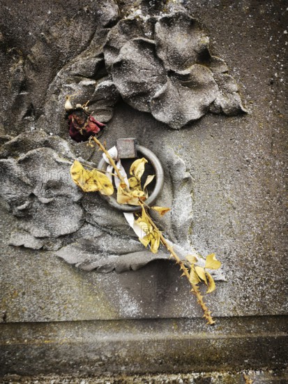 A dried rose with delicate yellow petals lies against a textured, weathered gravestone featuring