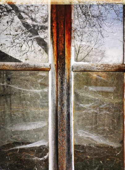 A vintage window frame reveals a rustic view, with dusty glass reflecting trees and capturing