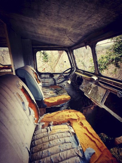 An abandoned truck interior shows worn-out seats and a dusty dashboard, surrounded by creeping