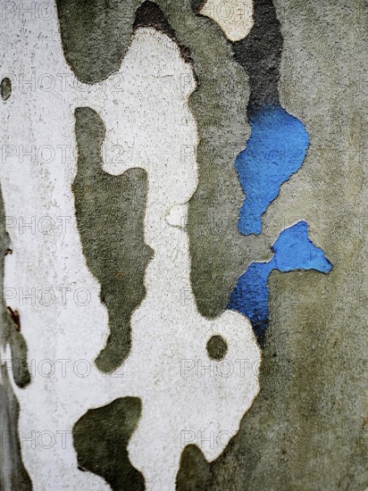 Close-up view of an urban wall features a textured surface with shades of gray and white, accented