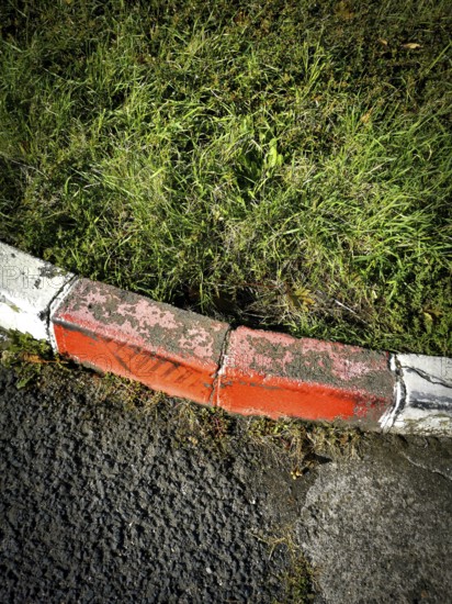 A weathered curb with patches of faded orange paint meets a vibrant patch of grass, blending urban