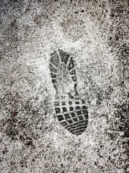 A distinct shoe print is marked on a wet surface, showing details of the tread pattern. Surrounding