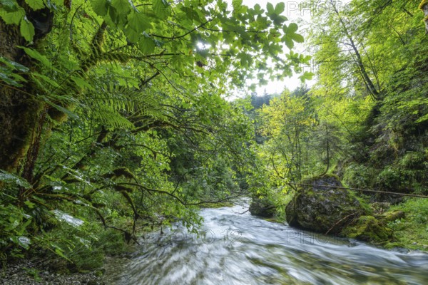 Wild and romantic Weißbach Gorge near Inzell