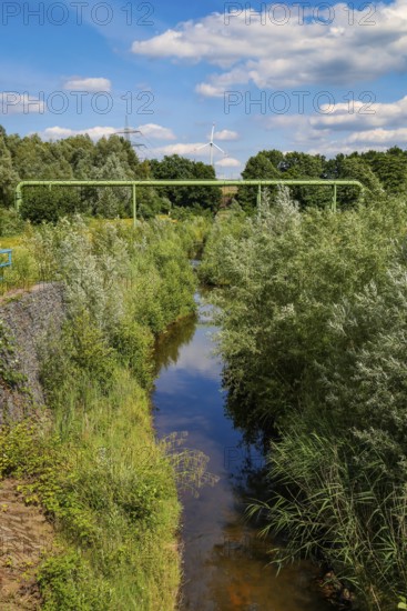 Bottrop, North Rhine-Westphalia, Germany - Renaturalised Boye, the tributary of the Emscher, has