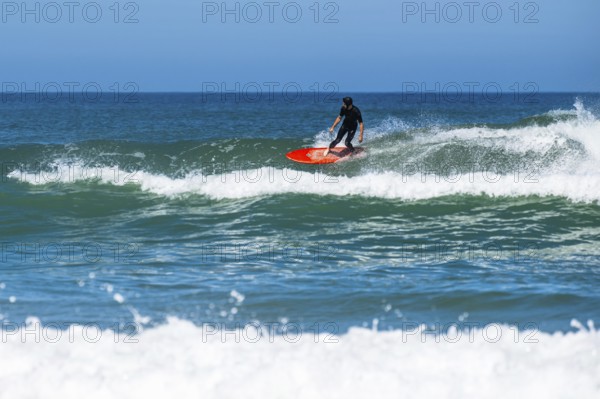 Surfer riding a wave on Contis beach, Saint Julien en Born, Saint-Julien-en-Born, Landes, France