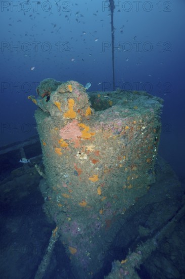 Rotten structure of a shipwreck overgrown with marine organisms. Dive site wreck Ville de Grasse,