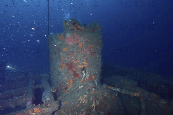 Corridor tower of a shipwreck surrounded by fish. Dive site wreck Ville de Grasse, Giens peninsula,
