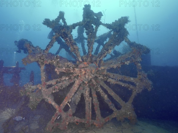Old paddle wheel of a shipwreck, overgrown on the seabed. Dive site wreck Ville de Grasse, Giens