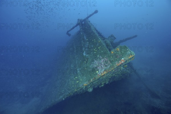 A shipwreck rests peacefully on the seabed, overgrown with green algae. Dive site Wreck Michel C,