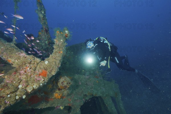 Diver exploring a colourful shipwreck with a torch in her hand. Dive site wreck Michel C, Giens