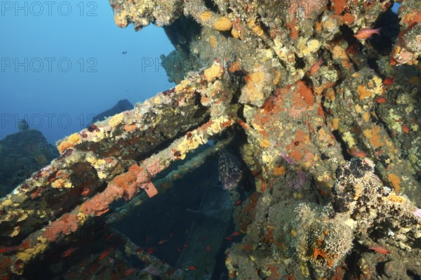 Debris of a shipwreck with bright colours and migrating fish. Dive site wreck Michel C, Giens