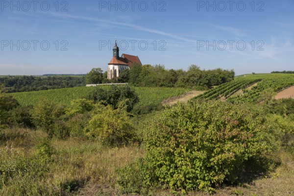 Pilgrimage church Maria im Weingarten, on a small hill, surrounded by extensive vineyards and lush