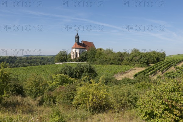 Pilgrimage church Maria im Weingarten, on a hill surrounded by vineyards with blue sky and green