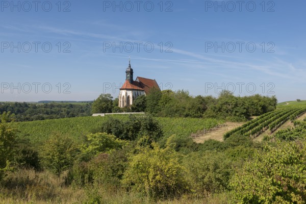 Pilgrimage church Maria im Weingarten, on a hill surrounded by vineyards and trees under a blue