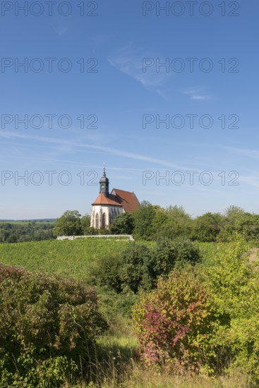 The pilgrimage church Maria im Weingarten, enthroned on a hill, is surrounded by green vineyards