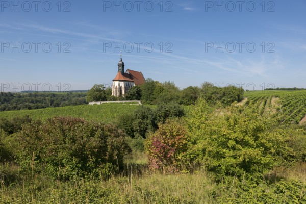 An idyllic summer landscape with the pilgrimage church Maria im Weingarten, nestled between