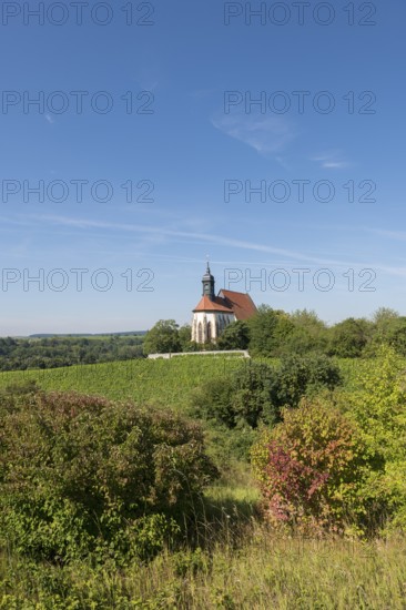 Picturesque view of the pilgrimage church Maria im Weingarten, on a hill, surrounded by lush