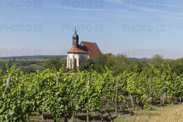 Pilgrimage church Maria im Weingarten, surrounded by vines, embedded in a green hilly landscape