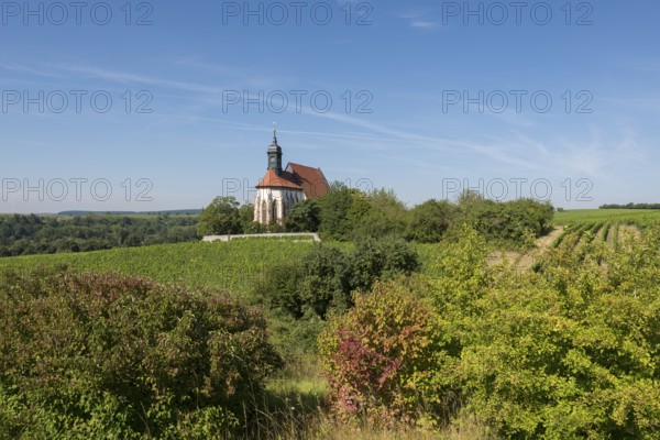 Panoramic view over the pilgrimage church Maria im Weingarten, surrounded by green vineyards and