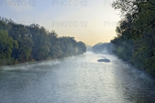 River Isar in the morning fog shortly in front of sunrise, twilight, blue hour, nature reserve