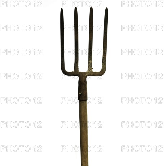 A metal fork with four sharp prongs stands upright against a plain white background. The wooden