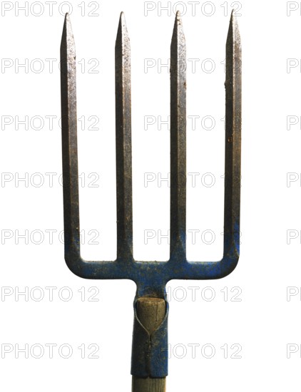 A metal fork with four sharp prongs stands upright against a plain white background. The wooden