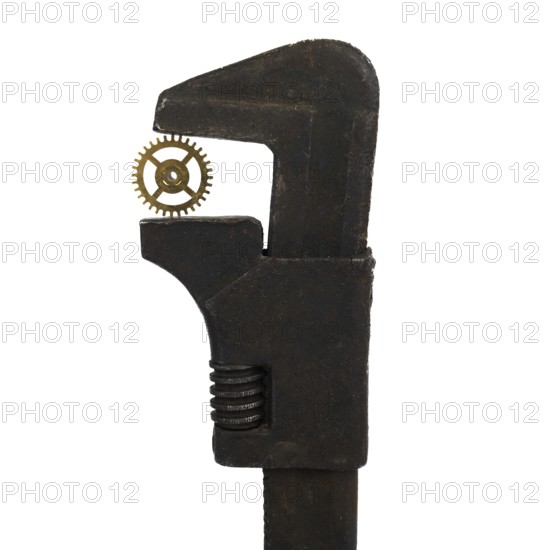 A rusty spanner holds a delicate watch cog in its jaws, showcasing a unique contrast between rugged