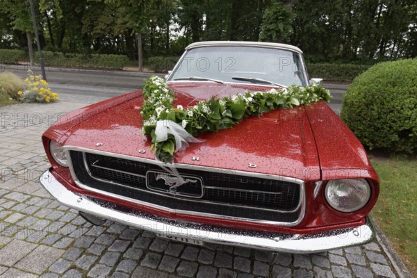 1965 Ford Mustang Cabriolet, decorated as a wedding car, Kühlungsborn, Baltic Sea,