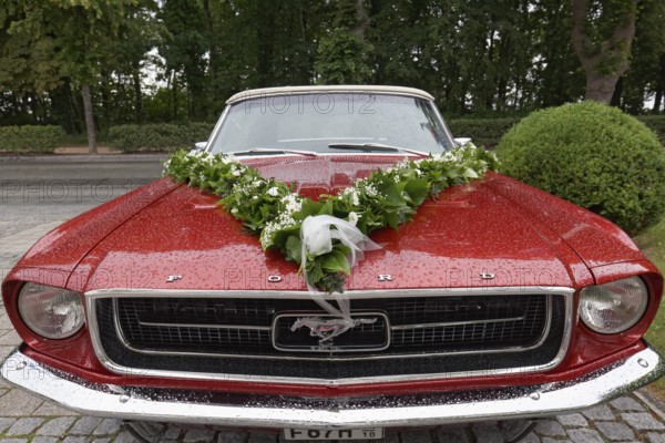 Ford Mustang Cabriolet from 1965, decorated as a wedding car, Baltic resort Kühlungsborn, Baltic