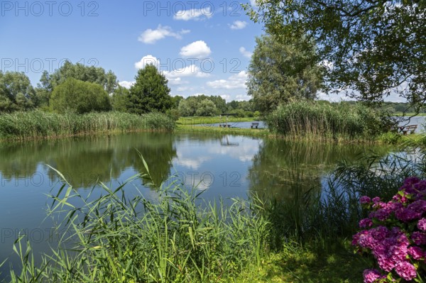 Fish ponds, Fischers Land Boek, Mecklenburg Lake District, Mecklenburg-Western Pomerania, Germany