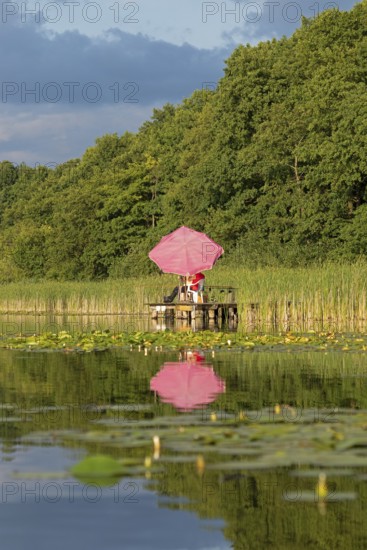 Parasol, reflection, Leppinsee, Rechlin, Mecklenburg Lake District, Mecklenburg-Western Pomerania,
