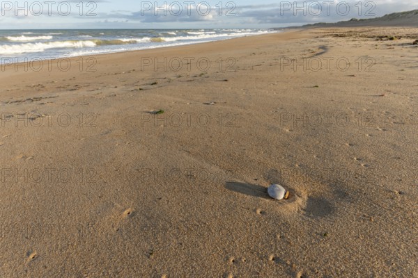 Soft golden sand stretches along the shore as gentle waves lap at the coastline during sunset,
