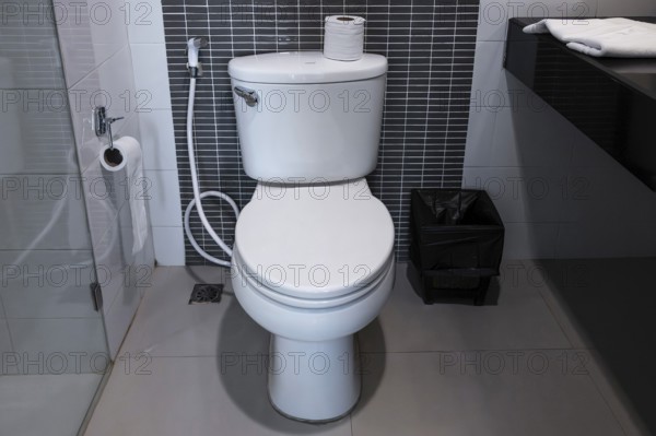 Bath Toilet